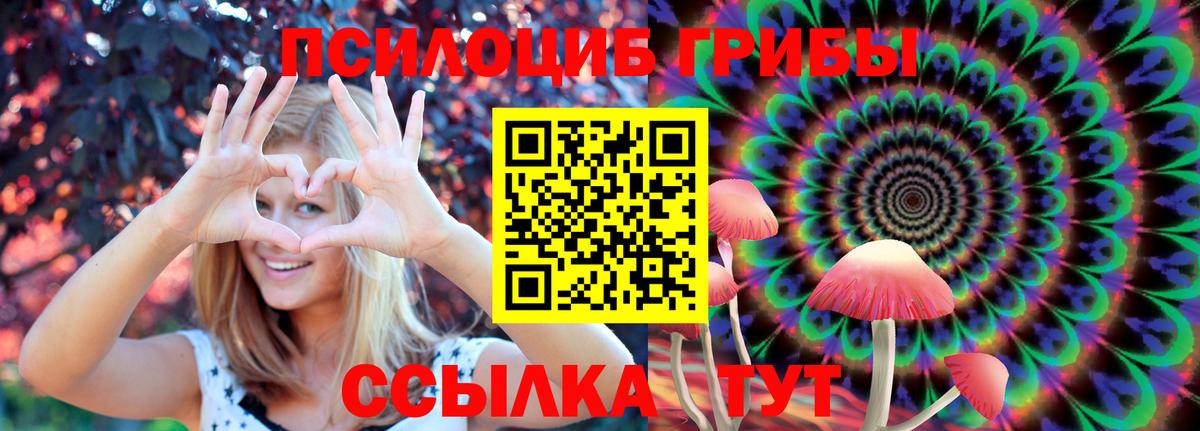 Галлюциногенные грибы Psilocybine cubensis  Галлюциногенные грибы прущие грибы  Вход с VPN  Апрелевка 